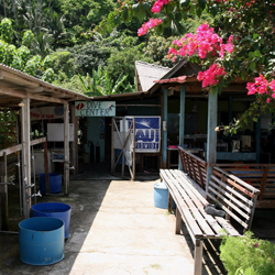 Dive Center