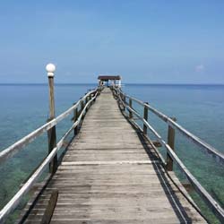 Jetty