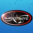 Saekodive